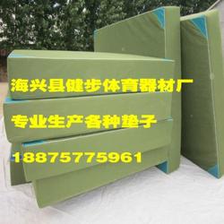 背越式跳高墊子供貨商 跳高墊子 健步體育器材加工廠