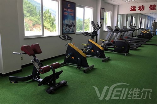 健身器材廠 健身器材 重慶維爾健身器材公司