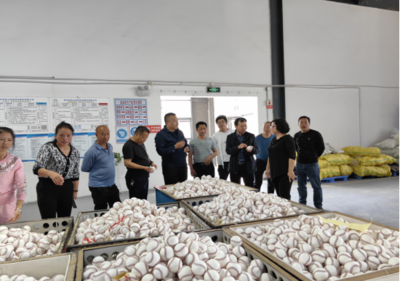 麻萬鎮(zhèn)拉林村:開展黨建引領(lǐng)促產(chǎn)業(yè)發(fā)展調(diào)研學(xué)習(xí)活動