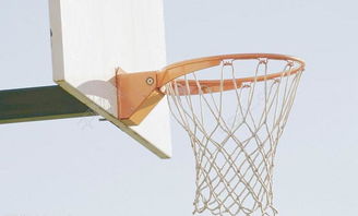 籃球板圖片高清圖片免費下載 jpg格式 2311像素 編號14185002 千圖網
