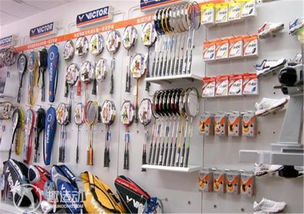 上海閔行少體校羽毛球館 趣運動