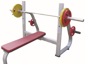 2017臥推架十大品牌排行榜 臥推架哪個牌子好