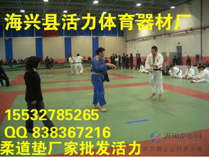 活力柔道墊生產廠家活力柔道墊 柔道墊生產廠家 柔道墊