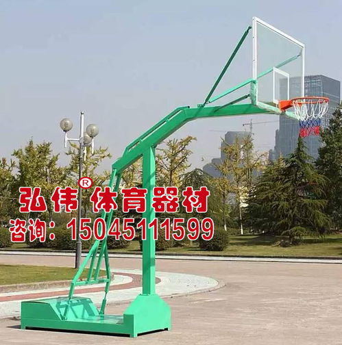 雙陽區升降籃球架報價