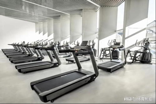 舒華體育 以專業(yè)器材助力冬奧村健身中心，共迎冰雪盛會(huì)